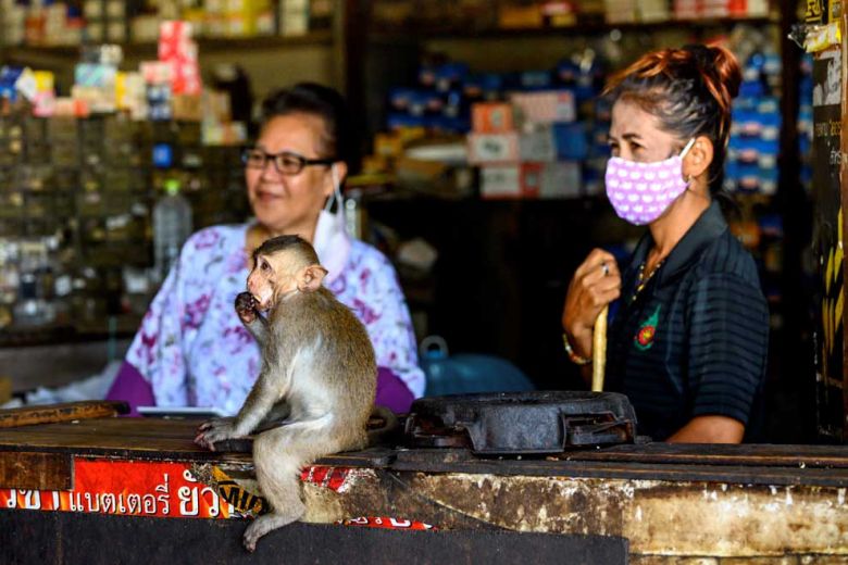 monkeys_have_taken_over_parts_of_lopburi_including_a_theatre_which_serves_as_their_burial_grounds._afp