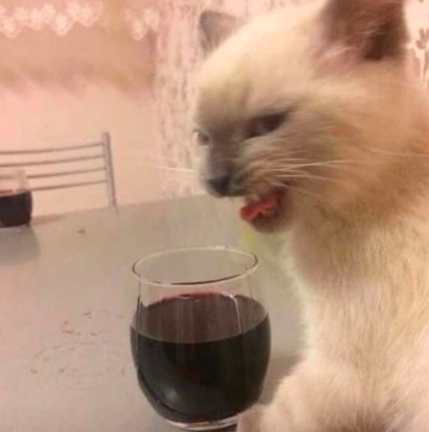 屏幕快照 2020-06-27 下午10.03.57