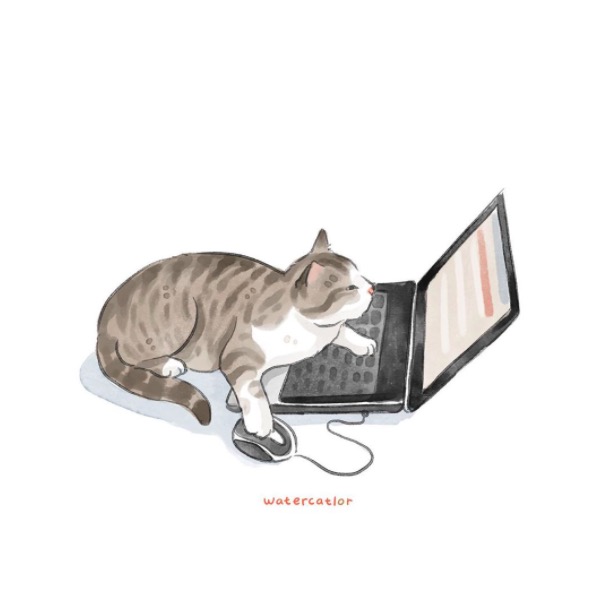 屏幕快照 2020-06-27 下午10.04.16