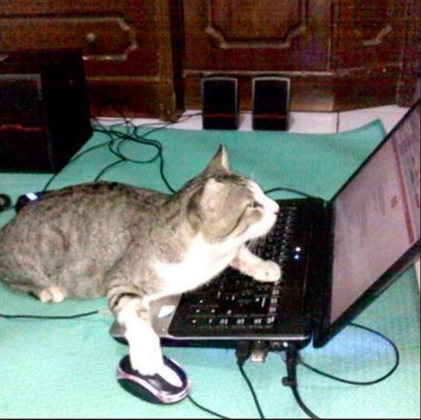 屏幕快照 2020-06-27 下午10.04.20