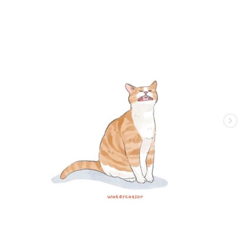 屏幕快照 2020-06-27 下午10.08.38