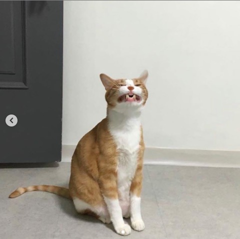 屏幕快照 2020-06-27 下午10.08.43