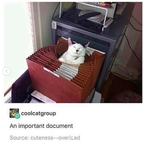 屏幕快照 2020-06-27 下午10.09.34