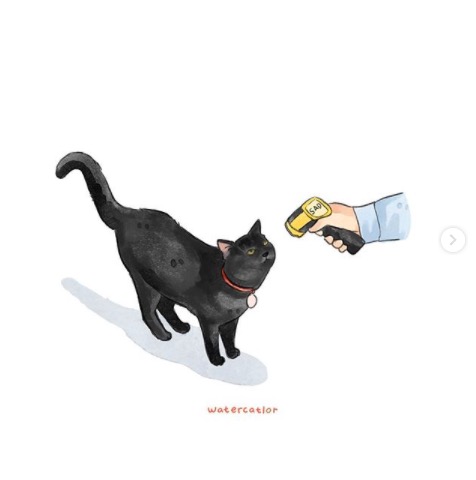 屏幕快照 2020-06-27 下午10.12.05