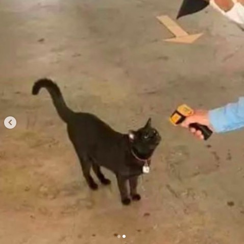 屏幕快照 2020-06-27 下午10.12.08