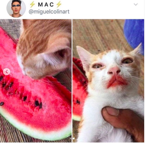 屏幕快照 2020-06-27 下午10.12.37