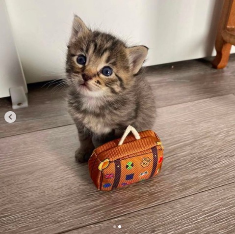 屏幕快照 2020-06-27 下午10.14.52