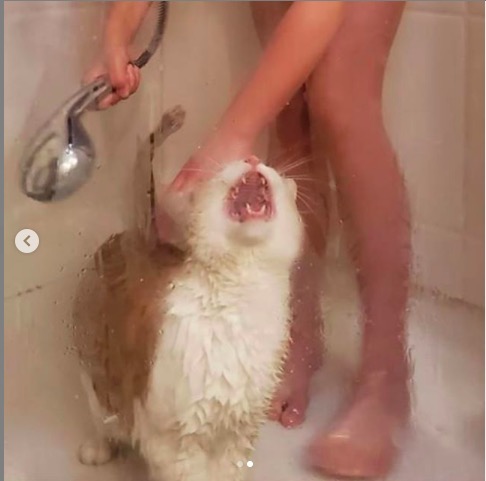 屏幕快照 2020-06-27 下午10.15.15