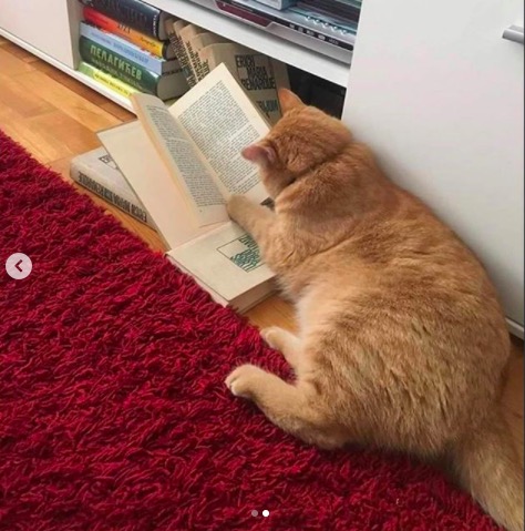 屏幕快照 2020-06-27 下午10.15.53