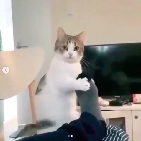 屏幕快照 2020-06-27 下午10.17.02