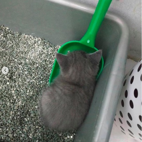 屏幕快照 2020-06-27 下午10.17.42