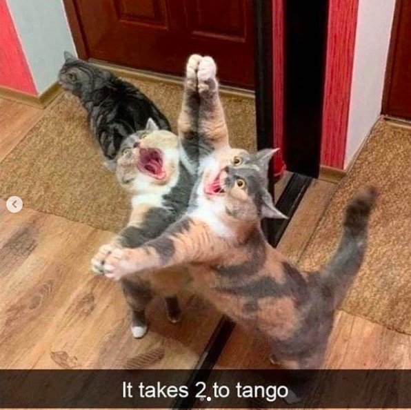 屏幕快照 2020-06-27 下午10.33.14