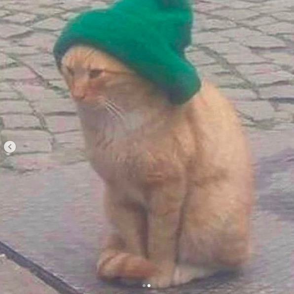 屏幕快照 2020-06-27 下午10.33.26