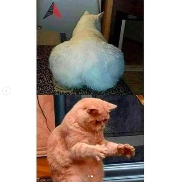 屏幕快照 2020-06-27 下午10.35.04