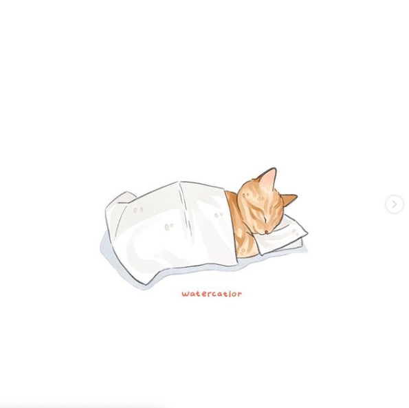 屏幕快照 2020-06-27 下午10.36.12