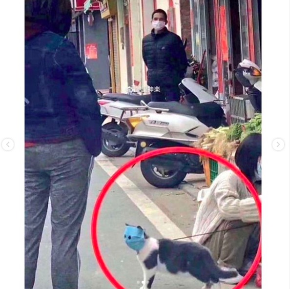 屏幕快照 2020-06-27 下午10.37.31