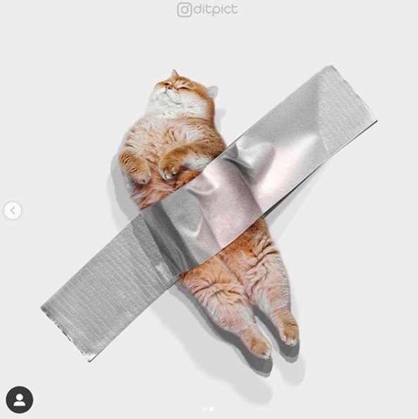 屏幕快照 2020-06-27 下午10.39.11