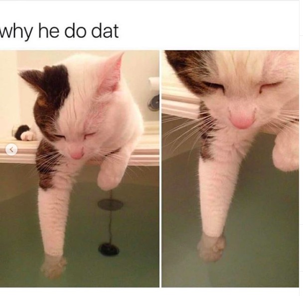 屏幕快照 2020-06-27 下午10.40.56