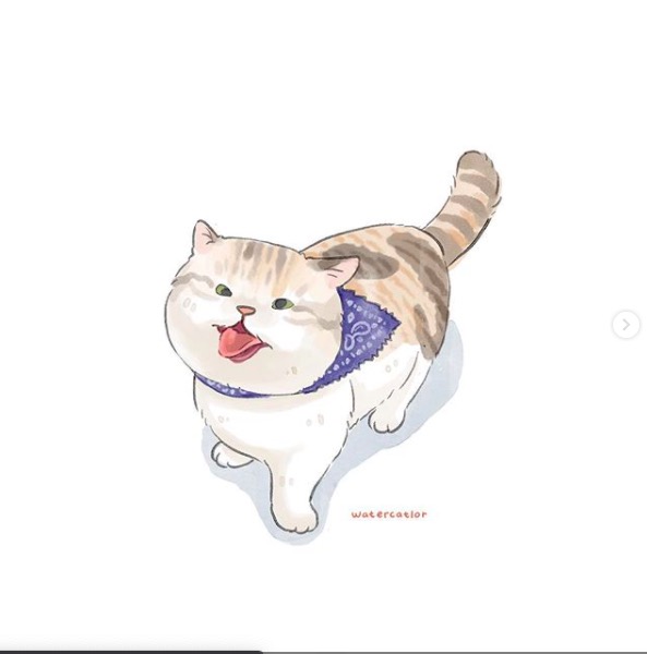 屏幕快照 2020-06-27 下午10.41.06