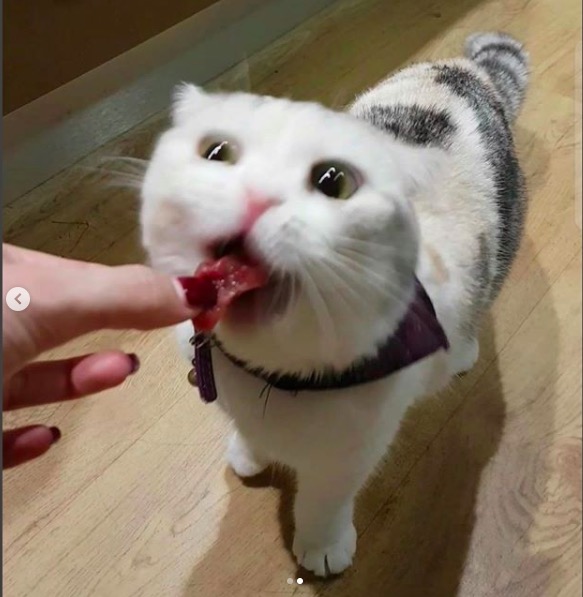 屏幕快照 2020-06-27 下午10.41.10