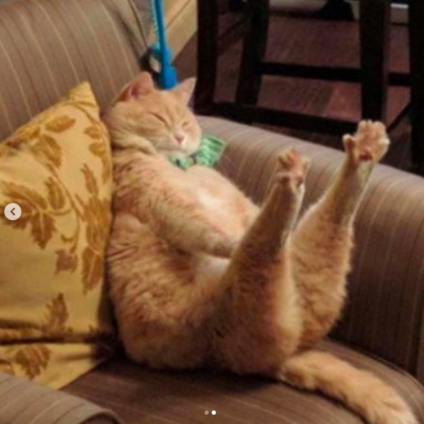 屏幕快照 2020-06-27 下午10.41.59