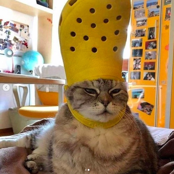 屏幕快照 2020-06-27 下午10.42.47