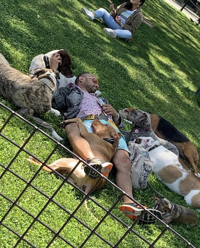 0j1vy-dog-walker-resting-with-dogs