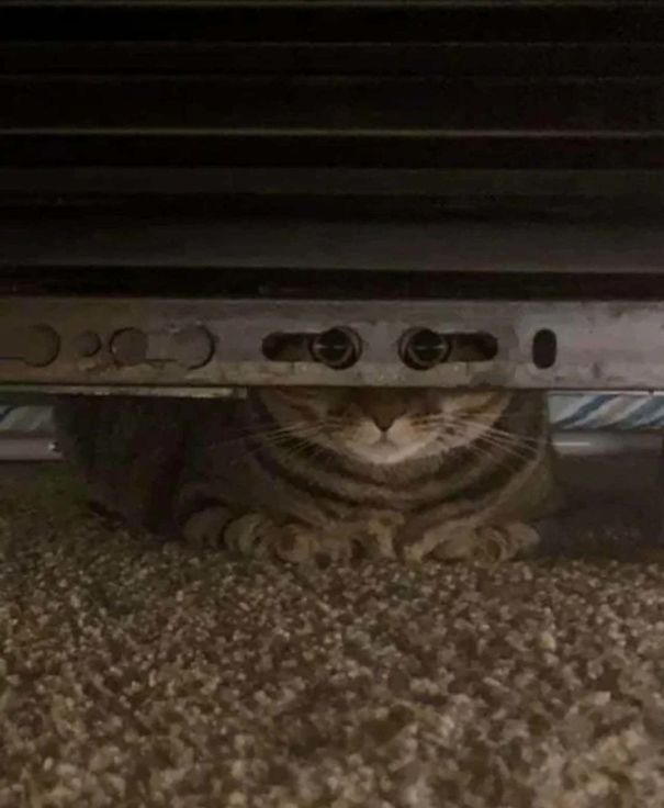 5eecabe501152_wr0ihi2tqpr41__605