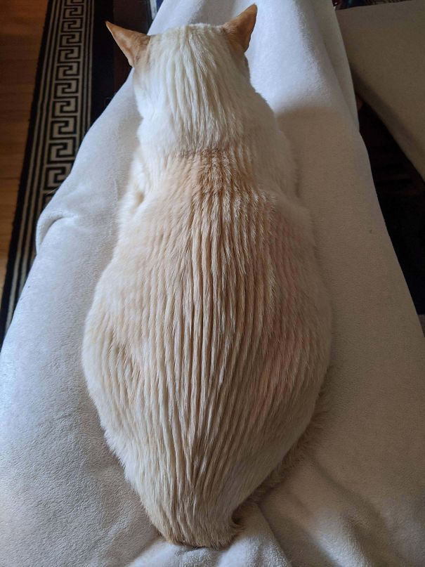 5ef077be8147f_MECR52T3R-YkIcLFlVWb74Ng23v_3pbNIppAY8sNy2Q__605