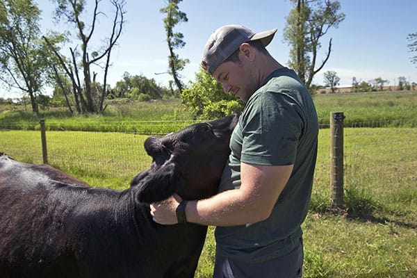 Barn-Sanctuary-3-e