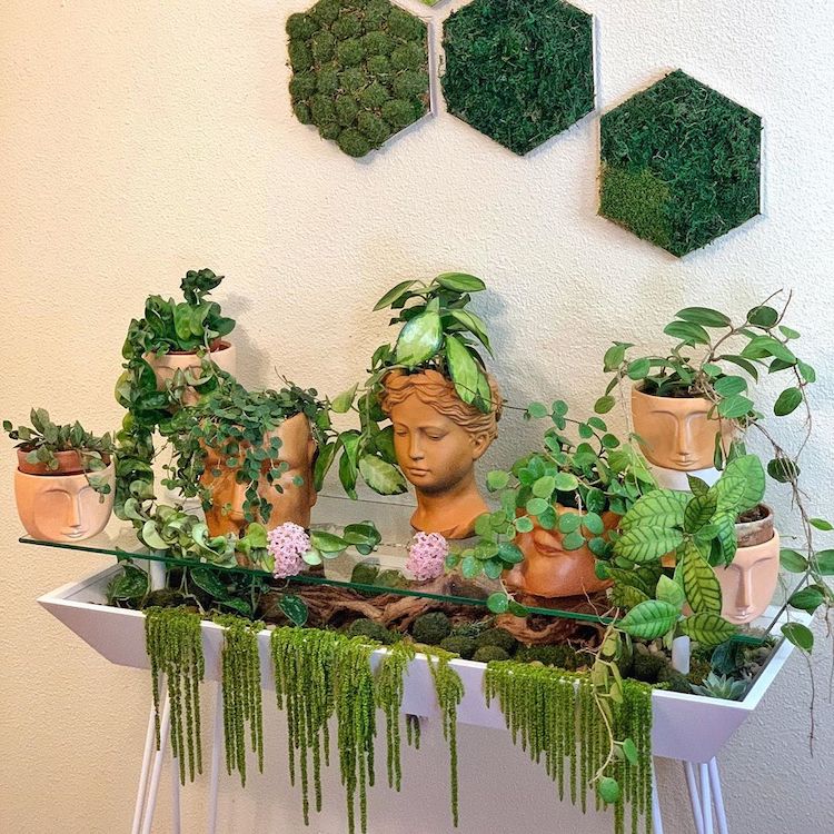 cyril-sontillano-plant-parenting-14