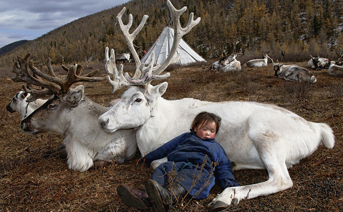 jtc8o-boy-sleeping-on-deer
