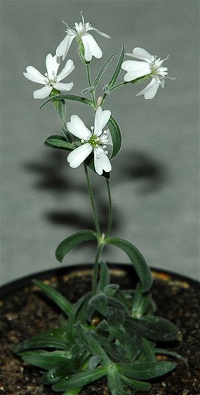 r898412_9098590
