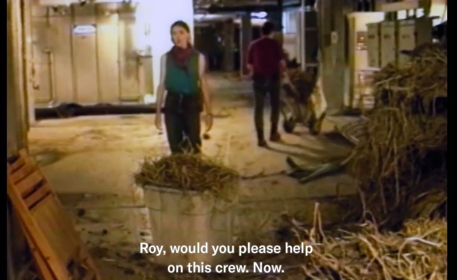 roy.JPG