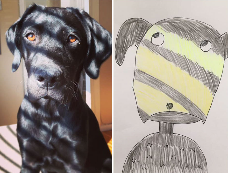 Pet-Portraits-Raising-Money-For-Charity-5f5b8fc3925ee__880