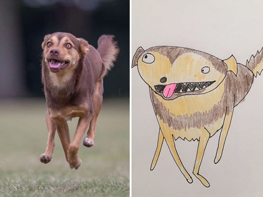 Pet-Portraits-Raising-Money-For-Charity-5f5b8fd481cce__880