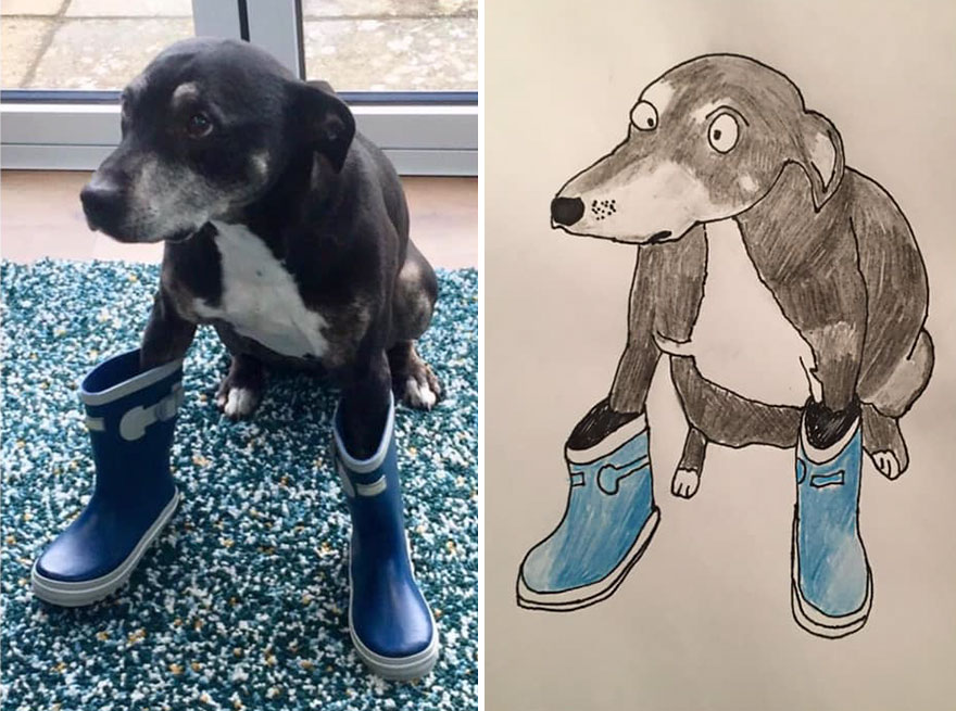 Pet-Portraits-Raising-Money-For-Charity-5f5b8fdaa52d7__880