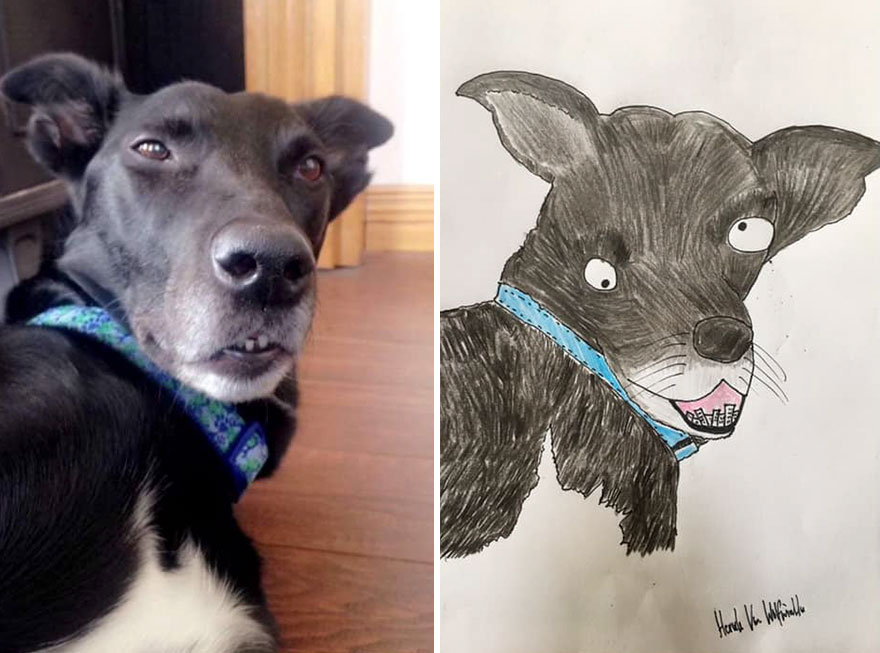 Pet-Portraits-Raising-Money-For-Charity-5f5b8fefabc32__880