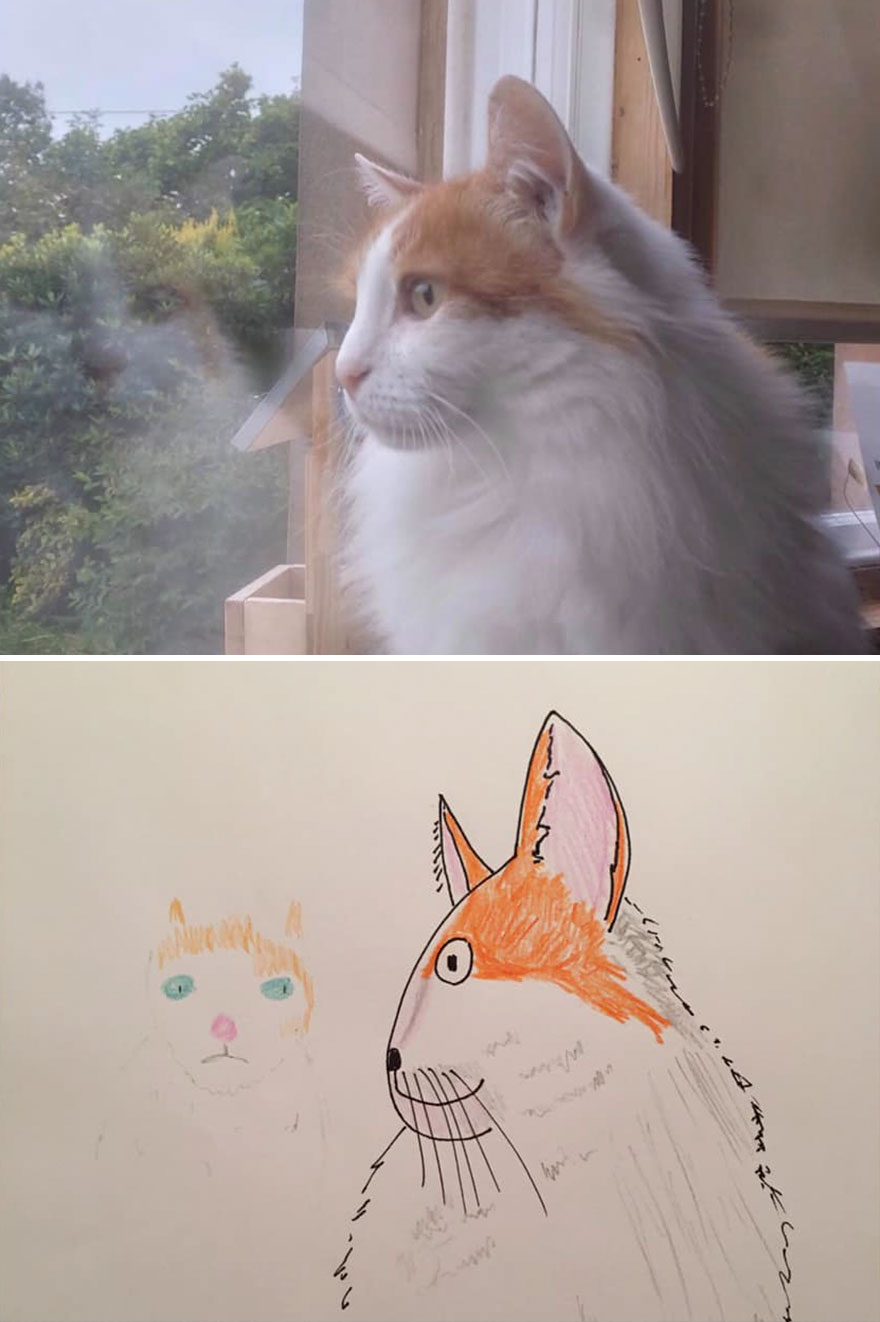 Pet-Portraits-Raising-Money-For-Charity-5f621316ab052__880