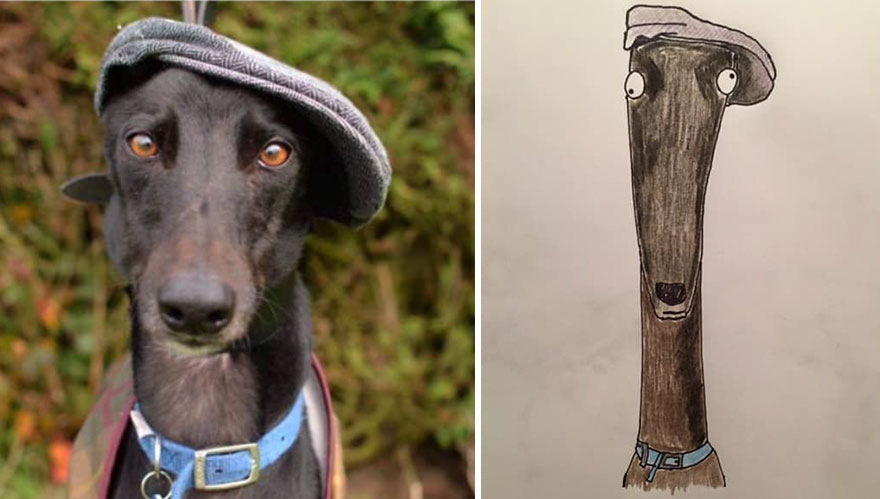 funny-pet-portraits-charity-hercule-van-wolfwinkle-4-5f621e18ed12f__880