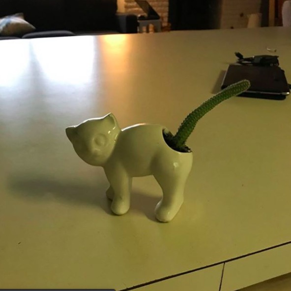 截屏2020-10-17 下午6.00.32