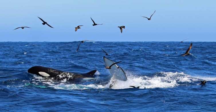 1711296821-6477-20240324