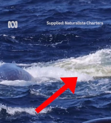 1711296822-2607-20240324