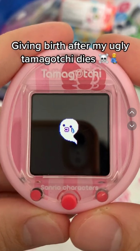 1727201847-3968-20240924