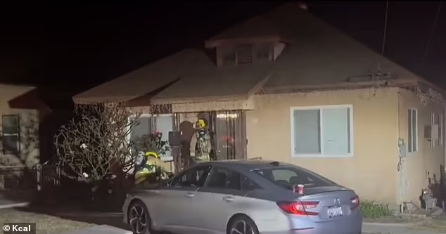 1731432809-7114-20241112