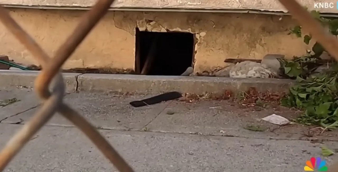 1731432809-9989-20241112