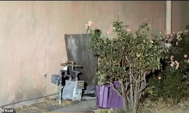 1731432810-9465-20241112