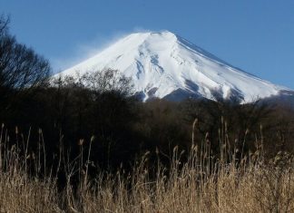 富士山脚下已遍地“黄金饮料”?记者开瓶确认,差点吐了:真是尿啊!