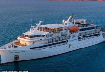 “我还没上车”最惨案例!邮轮开走,8旬老太遗忘荒岛,找到时都不知道咋死的…