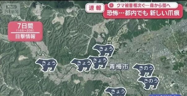 1762013096-2121-ibyA6iaLibhs2FfEGVv02Da9T2Lw